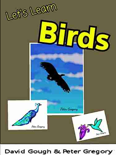 Let S Learn: Birds David Gough