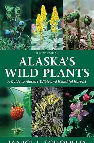 Alaska S Wild Plants Revised Edition: A Guide To Alaska S Edible And Healthful Harvest