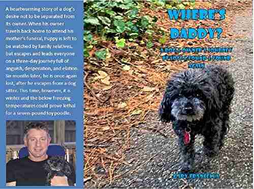 Where S Daddy? : A Dog Owner S Journey Of Loss And Found And Found Again