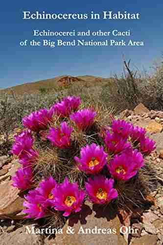 Echinocereus In Habitat: Echinocerei And Other Cacti Of The Big Bend National Park Area