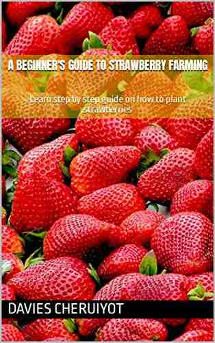 A BEGINNER S GUIDE TO STRAWBERRY FARMING: Learn Step By Step Guide On How To Plant Strawberries (Farm Management)