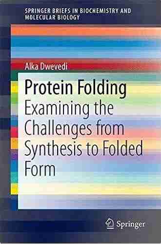 Protein Folding: Examining The Challenges From Synthesis To Folded Form (SpringerBriefs In Biochemistry And Molecular Biology)