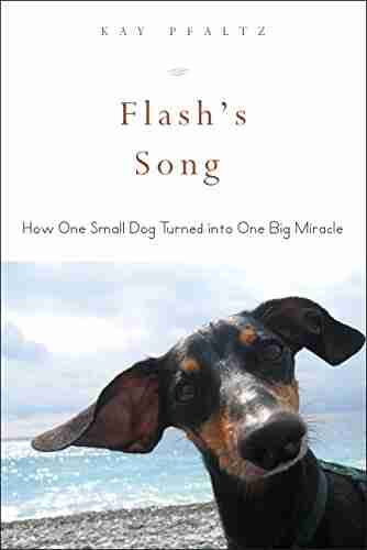 Flash s Song: How One Small Dog Turned into One Big Miracle