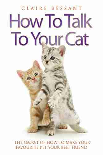 How To Talk To Your Cat The Secret Of How To Make Your Favourite Pet Your Best Friend