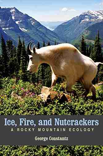 Ice Fire And Nutcrackers: A Rocky Mountain Ecology