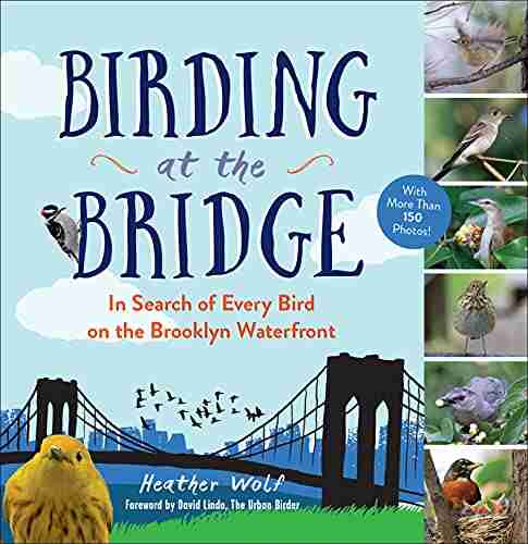 Birding At The Bridge: In Search Of Every Bird On The Brooklyn Waterfront