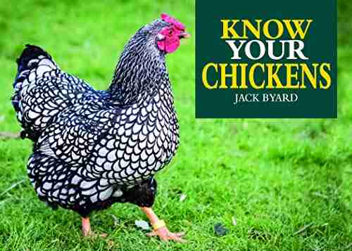 Know Your Chickens Jack Byard