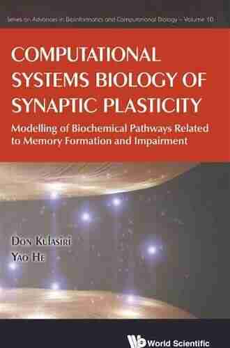 Computational Systems Biology Of Synaptic Plasticity: Modelling Of Biochemical Pathways Related To Memory Formation And Impairement: Modelling of Biochemical And Computational Biology 10)