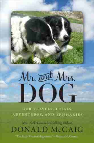 Mr and Mrs Dog: Our Travels Trials Adventures and Epiphanies