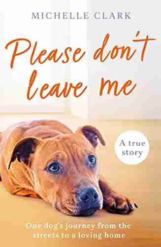 Please Don T Leave Me: One Rescue Dog S Journey From The Streets To Find A Loving Home