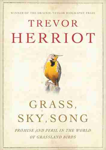 Grass Sky Song: Promise And Peril In The World Of Grassland Birds