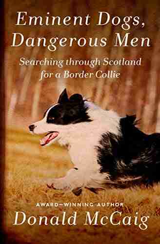 Eminent Dogs Dangerous Men: Searching Through Scotland For A Border Collie