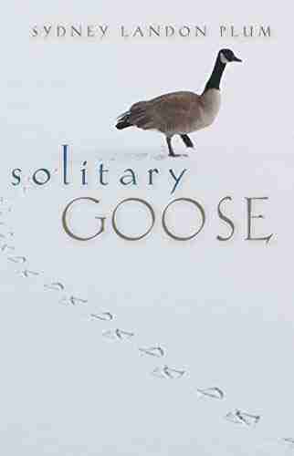 Solitary Goose Sydney Landon Plum