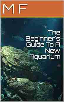 The Beginner S Guide To A New Aquarium