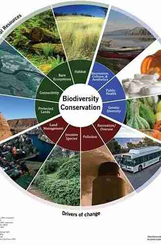 Ecology And Control Of Introduced Plants (Ecology Biodiversity And Conservation)