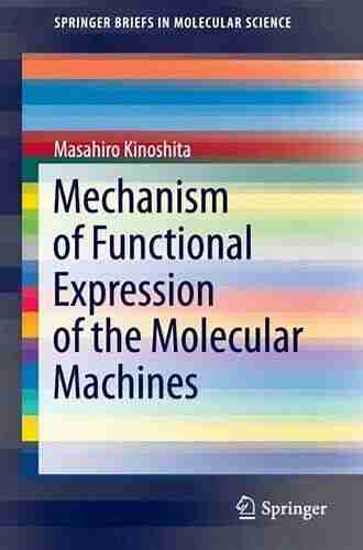 Mechanism of Functional Expression of the Molecular Machines