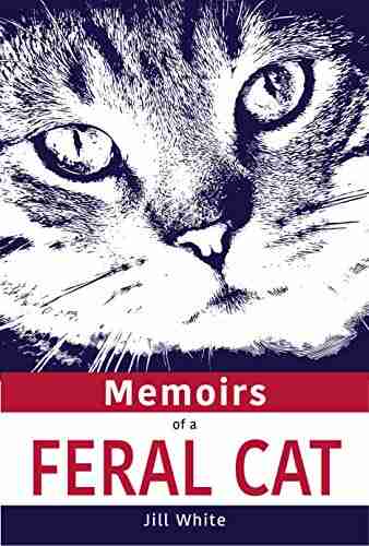 Memoirs Of A Feral Cat: A Curious Tail