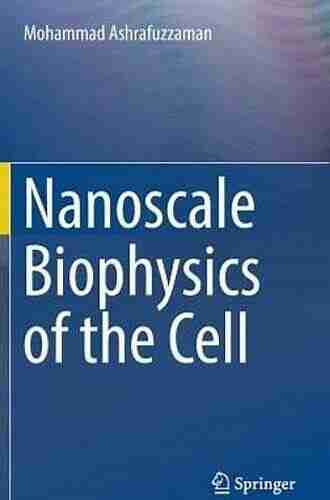 Nanoscale Biophysics Of The Cell