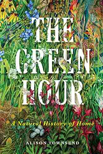 The Green Hour: A Natural History of Home