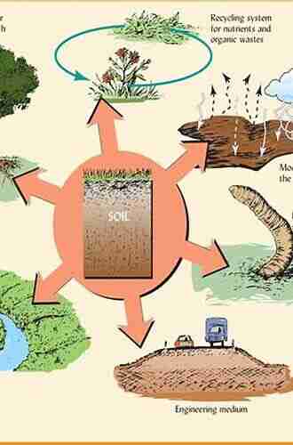 Soil Ecology and Ecosystem Services