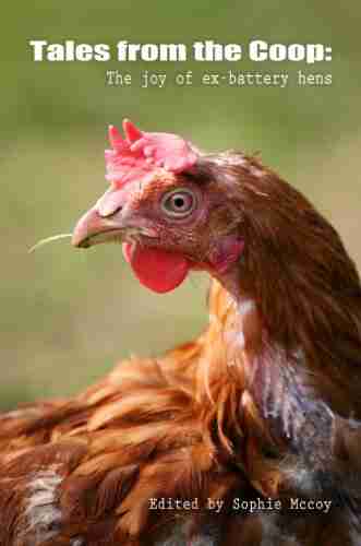 Tales From The Coop: The Joy Of Ex Battery Hens