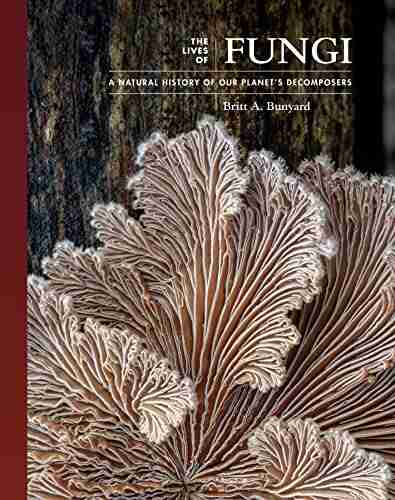 The Lives of Fungi: A Natural History of Our Planet s Decomposers (The Lives of the Natural World)