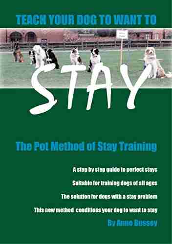 Teach Your Dog To Want To STAY: The Pot Method Of Stay Training