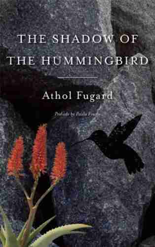 The Shadow Of The Hummingbird