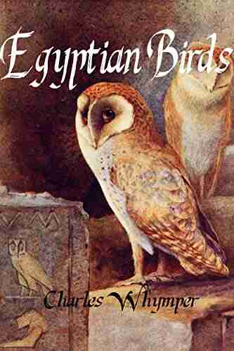 Egyptian Birds J David Pleins