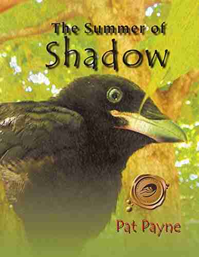 The Summer Of Shadow Pat Payne