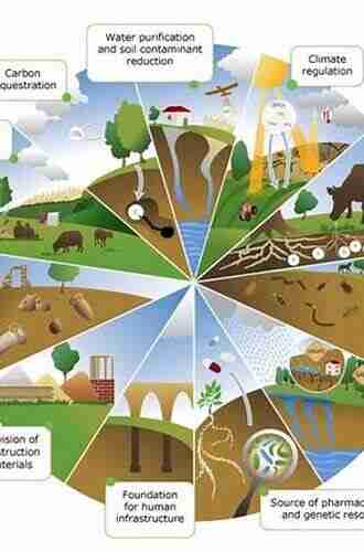 Soil Management and Climate Change: Effects on Organic Carbon Nitrogen Dynamics and Greenhouse Gas Emissions