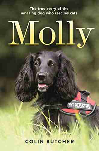 Molly: The True Story Of The Amazing Dog Who Rescues Cats