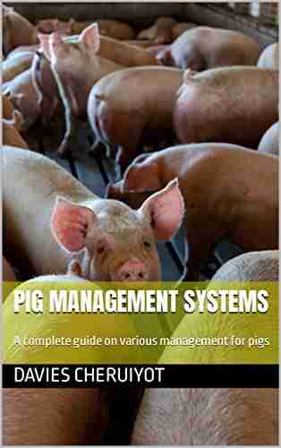 PIG MANAGEMENT SYSTEMS: A Complete Guide On Various Management For Pigs (Farm Management)