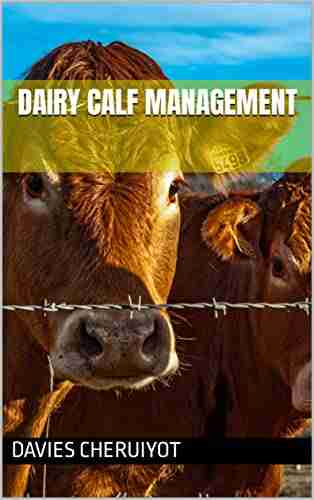 DAIRY CALF MANAGEMENT (Farm management)