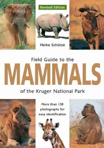 Field Guide to Mammals of the Kruger National Park