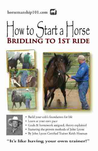 How to Start a Horse: Bridling to 1st Ride (Horse Training How To 4)