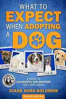 What To Expect When Adopting A Dog: A Guide To Successful Dog Adoption For Every Family