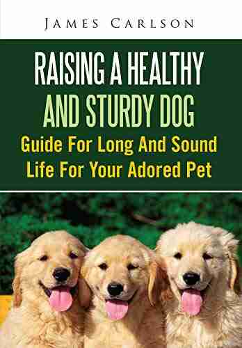 Raising A Healthy And Sturdy Dog: Guide For Long And Sound Life For Your Adored Pet