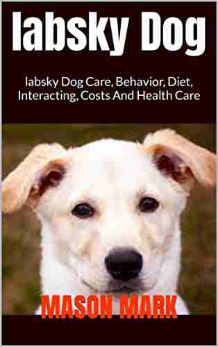 Labsky Dog : Labsky Dog Care Behavior Diet Interacting Costs And Health Care