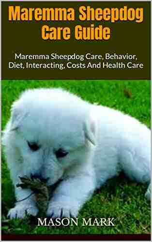 Maremma Sheepdog Care Guide: Maremma Sheepdog Care Behavior Diet Interacting Costs And Health Care