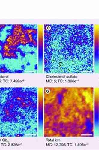 Cluster Secondary Ion Mass Spectrometry: Principles And Applications (Wiley On Mass Spectrometry 44)