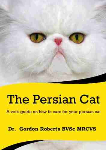 The Persian Cat (A Vet S Guide On How To Care For Your Persian Cat)