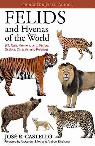 Felids And Hyenas Of The World: Wildcats Panthers Lynx Pumas Ocelots Caracals And Relatives