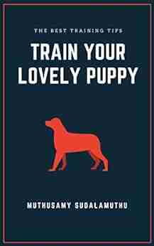 Train Your Lovely Puppy: The Best Training Tips