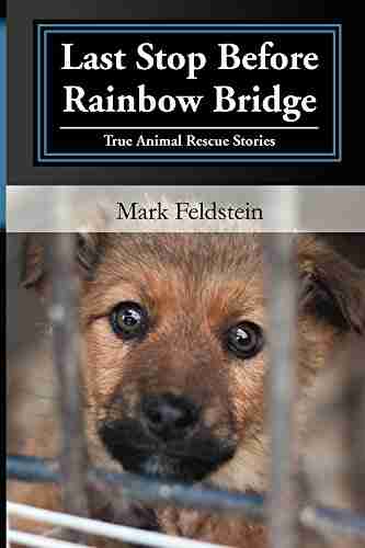 Last Stop Before Rainbow Bridge: True Animal Rescue Stories