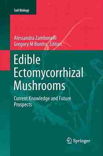 Edible Ectomycorrhizal Mushrooms: Current Knowledge And Future Prospects (Soil Biology 34)