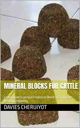 MINERAL BLOCKS FOR CATTLE: Learn how to prepare mineral blocks to improve feed digestibility (Farm management)