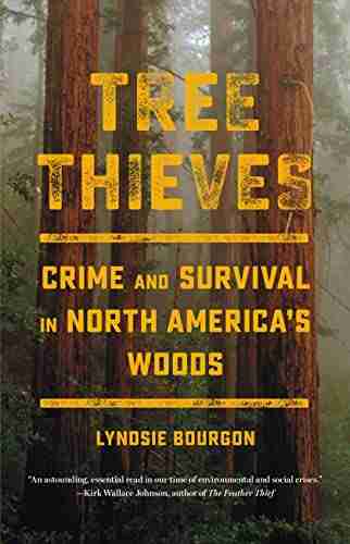 Tree Thieves: Crime And Survival In North America S Woods