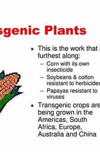 Genetically Modified Organisms: Transgenesis in Plants