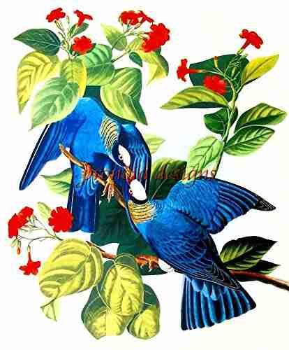 Counted Cross Stitch Pattern: White Crowned Pigeon Bird By John James Audubon PROFESSIONALLY EDITED Image (Audubon Bird Series)